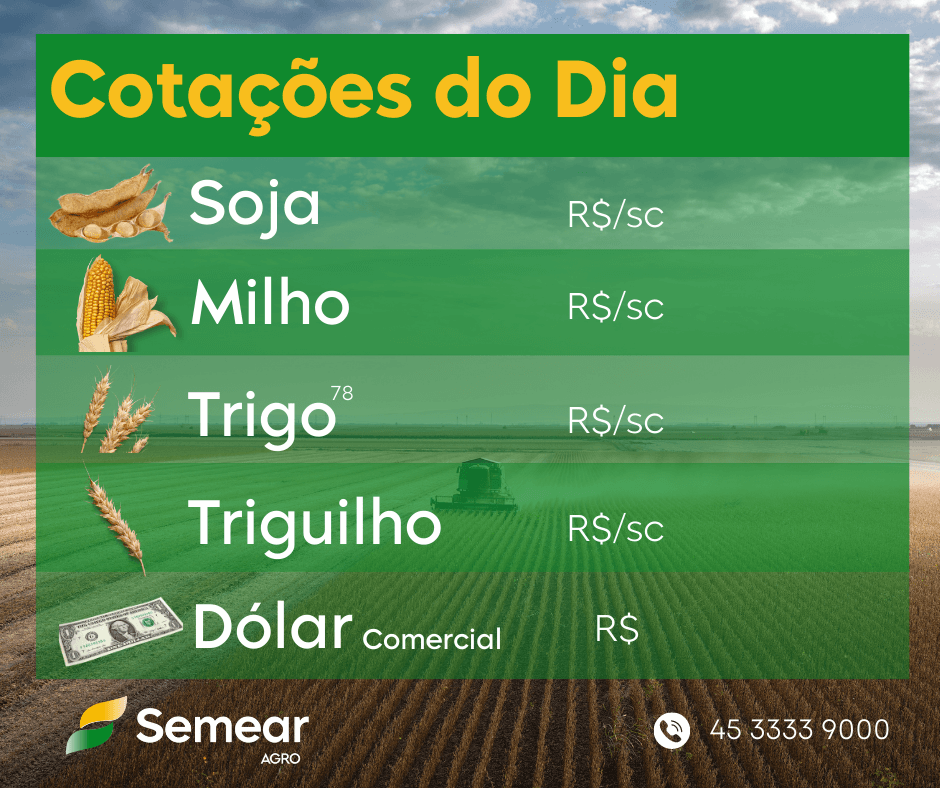 Arte de cotações do dia